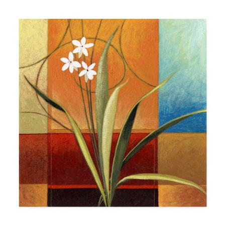 Pablo Esteban 'Narrow Palm On Patches' Canvas Art,35x35